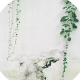每日文章精选 - Telegram Channel 每日文章精选 - Telegram Channel