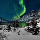 中外美文語錄 - Telegram Channel 中外美文語錄 - Telegram Channel
