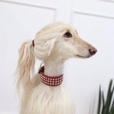 秋水逸冰 - Telegram Channel 秋水逸冰 - Telegram Channel
