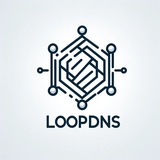 LoopDNS资讯播报 - Telegram Channel LoopDNS资讯播报 - Telegram Channel