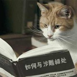 如何与沙雕相处 - Telegram Channel